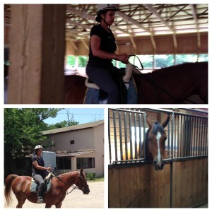 ep112_AnimalCrossing